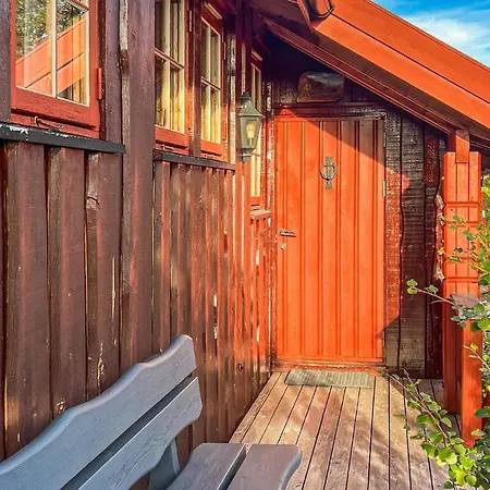 Σπίτι διακοπών Cozy In I Setesdalen With Kitchen Hovden (Aust-Agder)