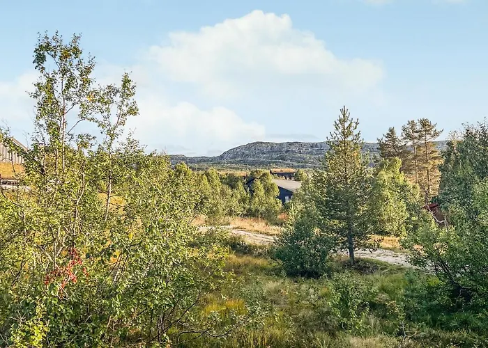 In I Setesdalen Semesterbostad